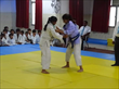 Inter District Judo Championships