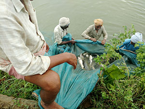 Visit to The Fish Breeding Farm