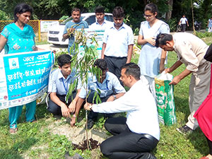 Plantation Activity