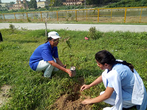 Plantation Activity